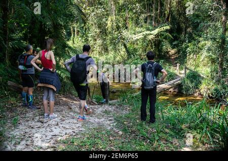 Wanderer, die sich darauf vorbereiten, eine schmale Baumblockbrücke über einen Fluss in der Mitte des Trilha das Cachoeiras (Wasserfall Wanderweg) zu überqueren. Stockfoto