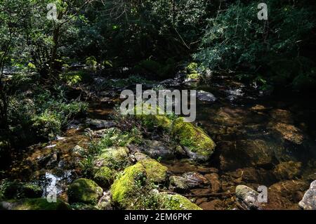 Ein natürlicher Pool von Ipiranguinha Wasserfall kristallklares Wasser mit grüner Vegetation und Felsen mit Moos rund um Serra do Mar Wald gebildet. Stockfoto