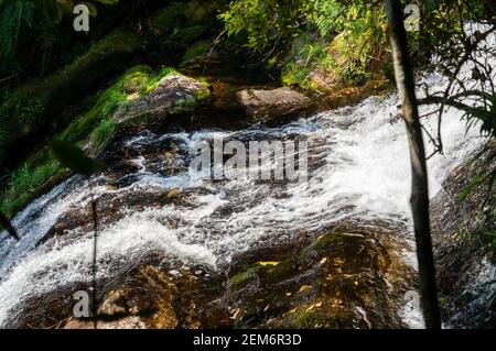 Die kristallklare Wasserströmung, die über die goldenen Felsformationen des Wasserfalls Ipiranguinha im Serra do Mar (Sea Ridge) Wald fließt. Stockfoto