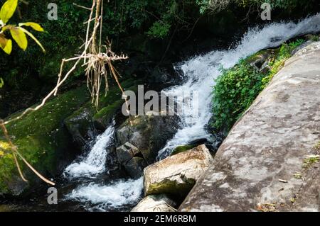 Eine große Wasserströmung fließt um Felsformationen aus Ipiranguinha Wasserfall bilden einen natürlichen Pool direkt unten in der dichten Serra do Mar Wald. Stockfoto