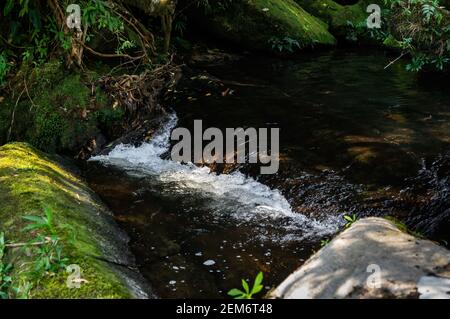 Ipiranguinha Wasserfall golden Aussehen kristallklaren natürlichen Pool auf der obersten Ebene mit einigen Felsformationen und Vegetation um. Stockfoto