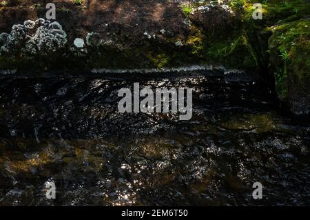 Ipiranguinha Wasserfall golden Aussehen kristallklaren natürlichen Pool auf der obersten Ebene mit einigen Felsformationen und Vegetation um. Cunha, Sao Paulo Stockfoto