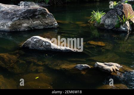 Kristallklare Wasserströmung des Paraibuna Flusses, die um Felsformationen in einem ruhigen Abschnitt des Flusses fließt, der im Sea Ridge Wald fließt. Stockfoto