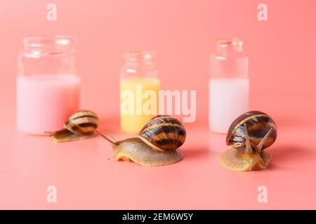 Kosmetik mit Schleim und Schnecken auf farbigem Hintergrund Stockfoto