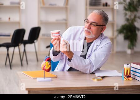 Alte Zahnarztlehrerin sitzt im Klassenzimmer Stockfoto