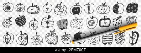 Apfelfrüchte mit Muster Doodle Set. Sammlung von handgezeichneten Apfel essbare Früchte in Hälften mit verschiedenen Mustern geschnitten Punkte Kurven Linien Sterne isoliert auf transparentem Hintergrund Stock Vektor