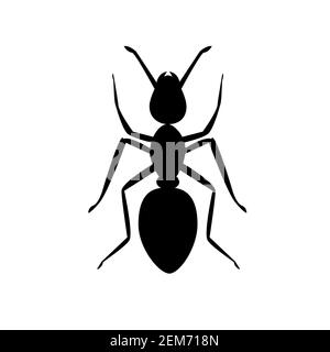 ant-Symbol auf weißem Hintergrund. ant-Tierzeichen. Schwarzes Ameisensymbol. Stockfoto