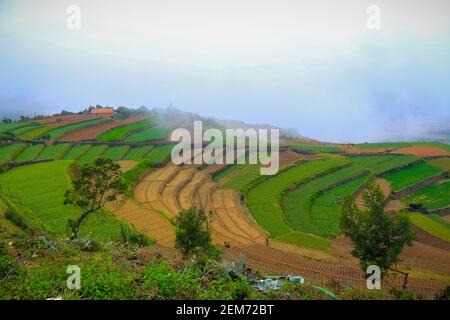 Poombarai Village Blick Über Die Nebelwolken. Schönes Dorf Poombarai in der Nähe von Kodaikanal, Tamilnadu, Indien Stockfoto