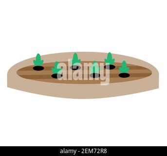 Anbau von Gemüse auf weißem Hintergrund. Flacher Stil. Gemüsegarten Zeichen. Stockfoto