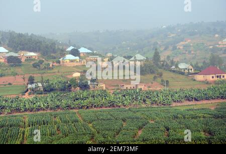 Landwirtschaftliche Landschaften im Süden Ruandas. Stockfoto