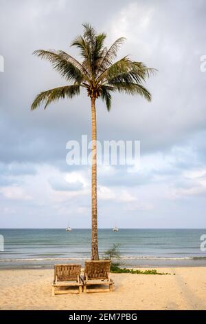 Ein einziger Kokosnussbaum am Meer an einem bewölkten Morgen in Ko Kood, Thailand, liegen zwei Liegen nebeneinander auf dem Sand. Stockfoto