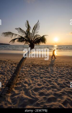 Paare, die am Strand am Meer bei Sonnenuntergang spazieren, ist ein romantisches Bild mit schiefen Kokospalmen, warmen Tönen im Liebeskonzept Stockfoto