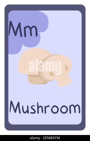 Bunte abc Bildung Flash-Karte, Buchstabe M - Pilz. Alphabet Vektor-Illustration mit Lebensmitteln, Obst und Gemüse. Schule, Studium, Lernkonzept. Stock Vektor