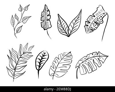 Satz von abstrakten Blättern. Handgezeichnete Linienkunst Kontur schwarze Zeichnung, botanisches Element. Vektorgrafik für Grußkarten und Einladungen, isolat Stock Vektor