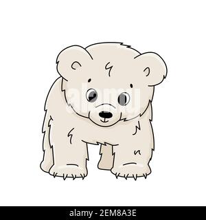 Vector niedlichen Cartoon kleinen Eisbären Junge steht auf allen Beinen und schaut nach unten. Outline Tier ist auf weißem Hintergrund isoliert. Vorderansicht. Stock Vektor