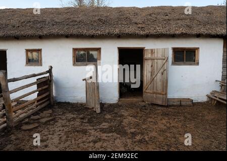 Kosakenstall mit mehreren Schafen im Herbst Stockfoto