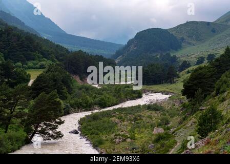 Die Natur in den Bergen des Kaukasus. Schönen Fluss Bach und Wald Stockfoto