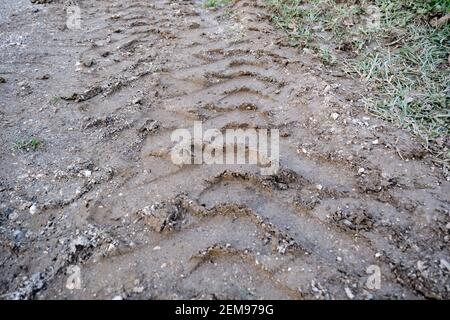 Riesige Baggerreifen Spuren auf dem Boden und Schlamm in einem offenen Park. Stockfoto