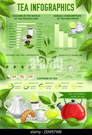 Tee-Infografiken mit Vektorgrafiken und Tabellen von Heißgetränkestatistiken. Koffeingehalt, Produktion und Verbrauch von schwarzem, grünem und Kräutertee Stock Vektor