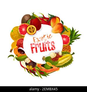 Exotische tropische Früchte rund Vektor-Banner. Ganze und geschnittene Tamarillo, Mangosteen und Rambutan, Durian und Ananas, Papaya, Feijoa und Mango, Lyche Stock Vektor