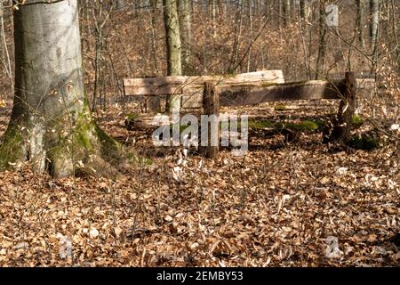 Holzsitzgruppe im Wald auf einer kleinen Lichtung Im Sonnenlicht Stockfoto