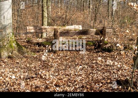 Holzsitzgruppe im Wald auf einer kleinen Lichtung Im Sonnenlicht Stockfoto