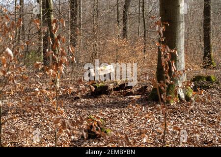 Holzsitzgruppe im Wald auf einer kleinen Lichtung Im Sonnenlicht Stockfoto