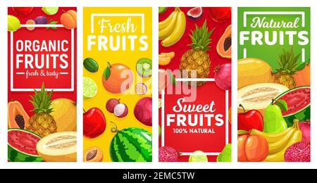 Reife Früchte Vektor vertikale Banner. Tropische Früchte Farm Limette und Zitrone, Maracuya, Wassermelone und Melone, Ananas und Banane, Litschi, Granatapfel, k Stock Vektor