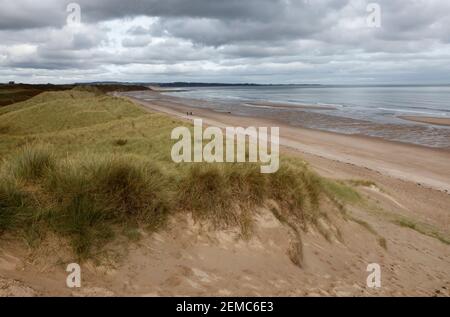 Alnmouth Bay aus den Dünen von Warkworth, Northumberland, England, Großbritannien Stockfoto