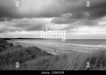 Alnmouth Bay aus den Dünen von Warkworth, Northumberland, England, Großbritannien Stockfoto