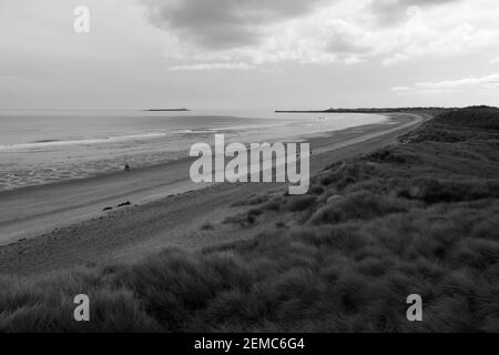 Blick auf Coquet Island und Amble aus den Dünen von Warkworth, Northumberland, England, Großbritannien Stockfoto