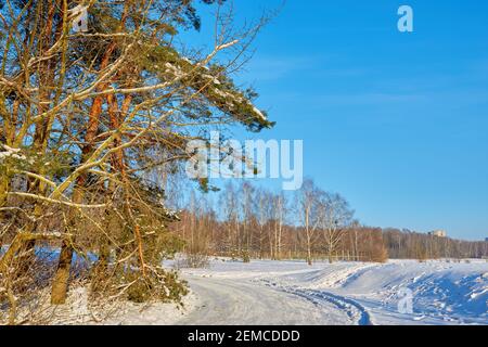 Schneebedeckte Waldstraße außerhalb der Stadt auf einer klaren sonnigen Wintertag Stockfoto