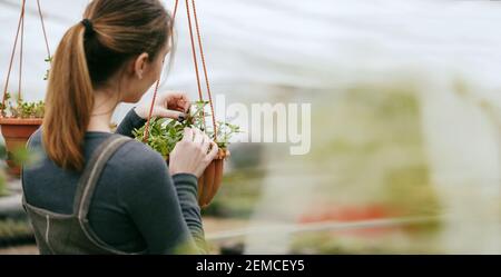 Frau, die sich um Pflanzen kümmert Stockfoto