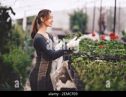 Mädchen, die im Garten mit Sämlingen in Töpfen arbeiten Stockfoto