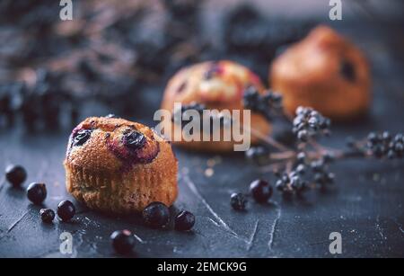 Muffin mit Johannisbeeren auf dunklem Hintergrund neben den Beeren an den Zweigen. Im rustikalen Stil. Dunkler Stil Stockfoto
