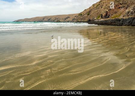 Sanfte Wellen Rollen in den Strand von Okains Bay, Banks Peninsula, Neuseeland Stockfoto