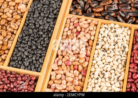 Verschiedene Bohnen in der Holzkiste. Borlotti, schwarze Augen, Adzuki, scharlachrote Läufer, schwarze Schildkröte, Rote Niere. Stockfoto