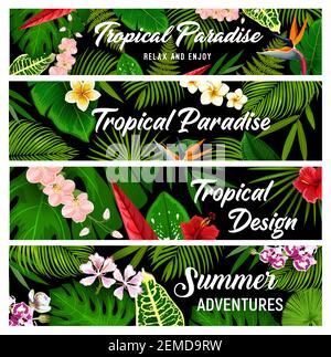 Tropische Pflanzen und Blumen Vektor Banner, exotische Palmblätter und Blüten. Florale Karten mit tropischen hawaiiblumen Exotischer Hibiskus, Plumeria, Orch Stock Vektor