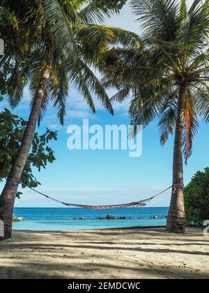 Hängematte zwischen Palmen mit Blick auf das Meer Stockfoto