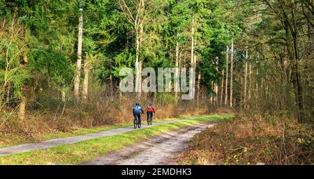 Waldblick mit Mountainbikern Stockfoto