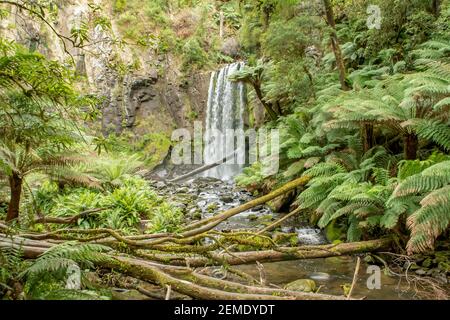 Hopetoun Falls, Great Otway National Park, Victoria, Australien Stockfoto