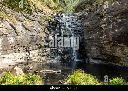 Sheeiak Falls, in der Nähe von Lorne, Victoria, Australien Stockfoto