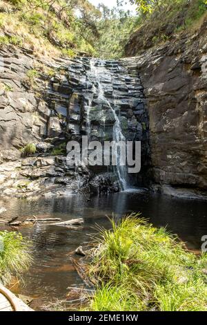 Sheeiak Falls, in der Nähe von Lorne, Victoria, Australien Stockfoto