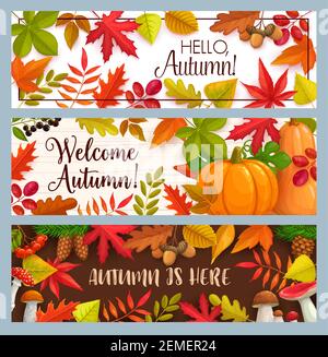 Hallo Herbst Vektor-Banner mit fallenden Blättern, Kürbis und Herbstlaub. Pilze, Tannenzapfen, Ahorn, Eiche oder Pappel und Birke mit Kastanie le Stock Vektor