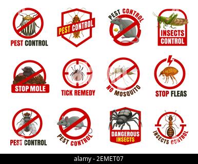 Schädlingsbekämpfung isolierte Vektor-Symbole. Colorado Käfer, Schabe und Ratte mit Heuschrecke, Maulwurf, Zecke und Mücke mit Floh. Fliegen, Maus und Spinne mit Ameise Stock Vektor