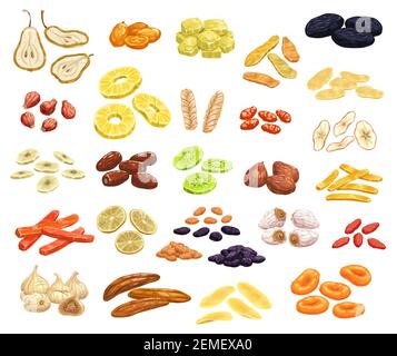 Getrocknete Früchte und kandierte Beeren isoliert Vektor-Symbole. Aprikose, Rosinen, Pflaumen oder Datteln oder Feigen, Banane, Ananas oder Kiwi mit Zitrone. Sonne trocken süß Stock Vektor