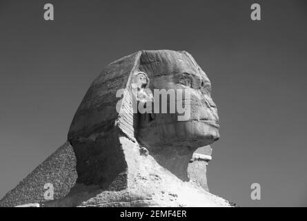 Monochrom, schwarz-weiß, Bild der Großen Sphinx mit der Großen Pyramide von Khufu (Cheops) dahinter, Gizeh, Ägypten Stockfoto