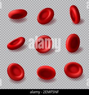 Rote Blutkörperchen 3D Vektor Hämoglobin, Hämatologie Medizin, menschliche Körperanatomie. Realistische mikroskopische Blutzellen des Herzsystems isoliert auf Transpa Stock Vektor