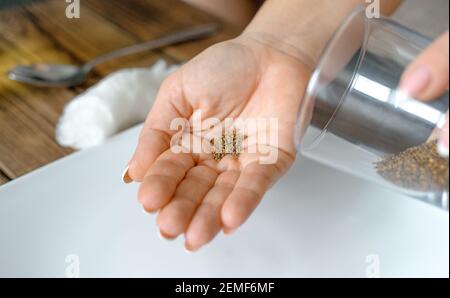 Gartenarbeit für zu Hause. Frau goss Rukula-Samen aus einem Glas in ihre Handfläche. Vorbereitung für das Pflanzen von Rucola Samen auf ein Stück Watte auf einem Teller. Anbauen von Micro Greens. Selektiver Fokus. Stockfoto