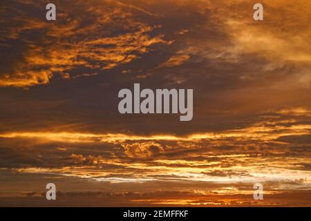 Goldener Himmel: Bild eines schönen Sonnenaufgangs, dramatische warme Wolken am Himmel; Farbfoto. Stockfoto